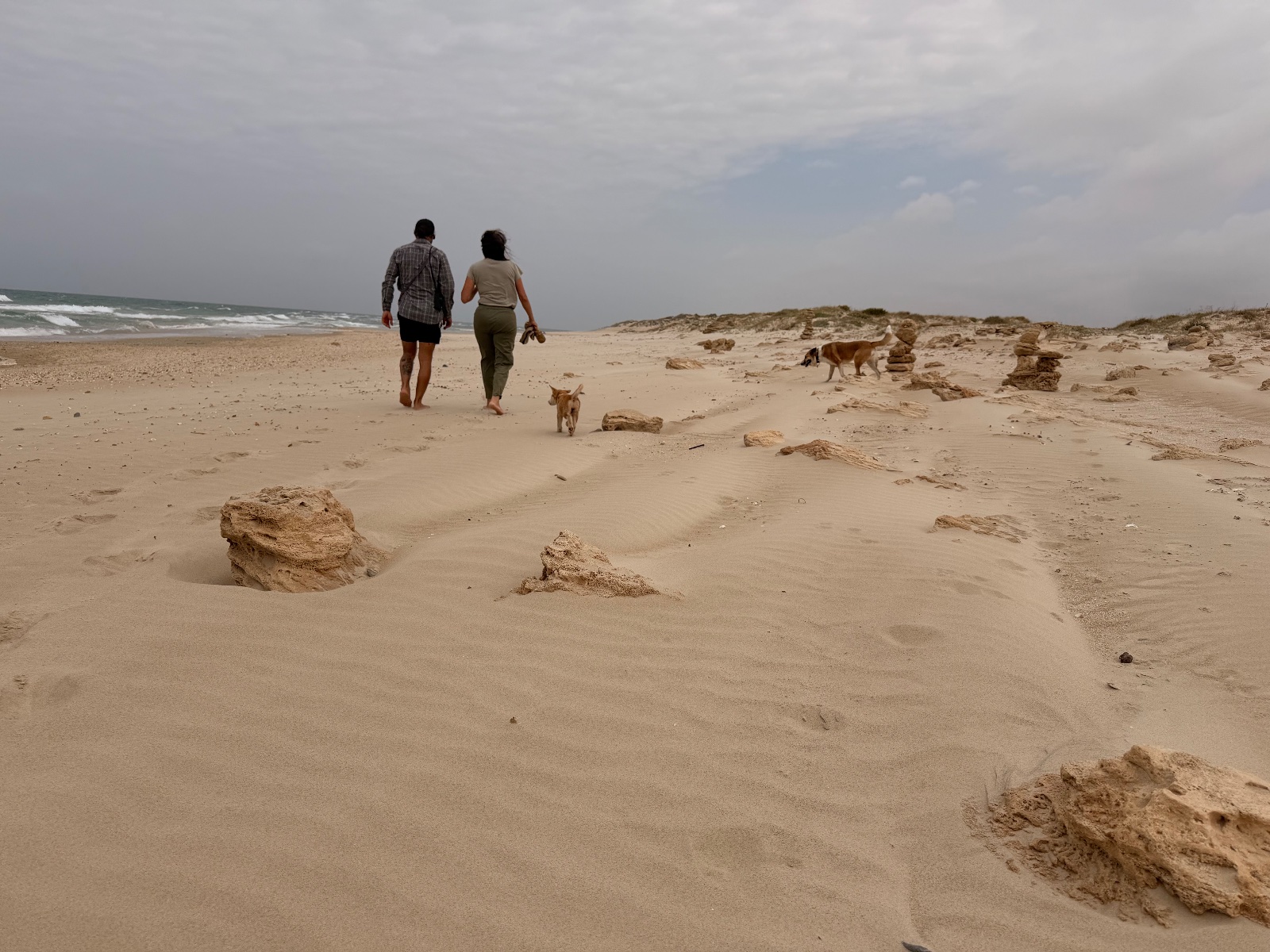 פותחים את השבוע ברגל — 7